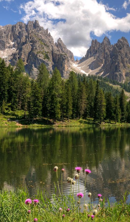 Hotel Il Cardo San Vito di Cadore Luaran gambar
