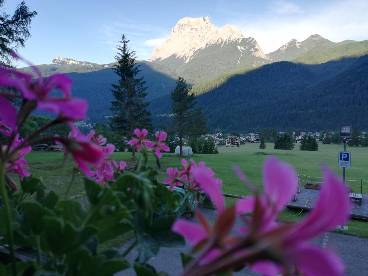 Hotel Il Cardo San Vito di Cadore Luaran gambar