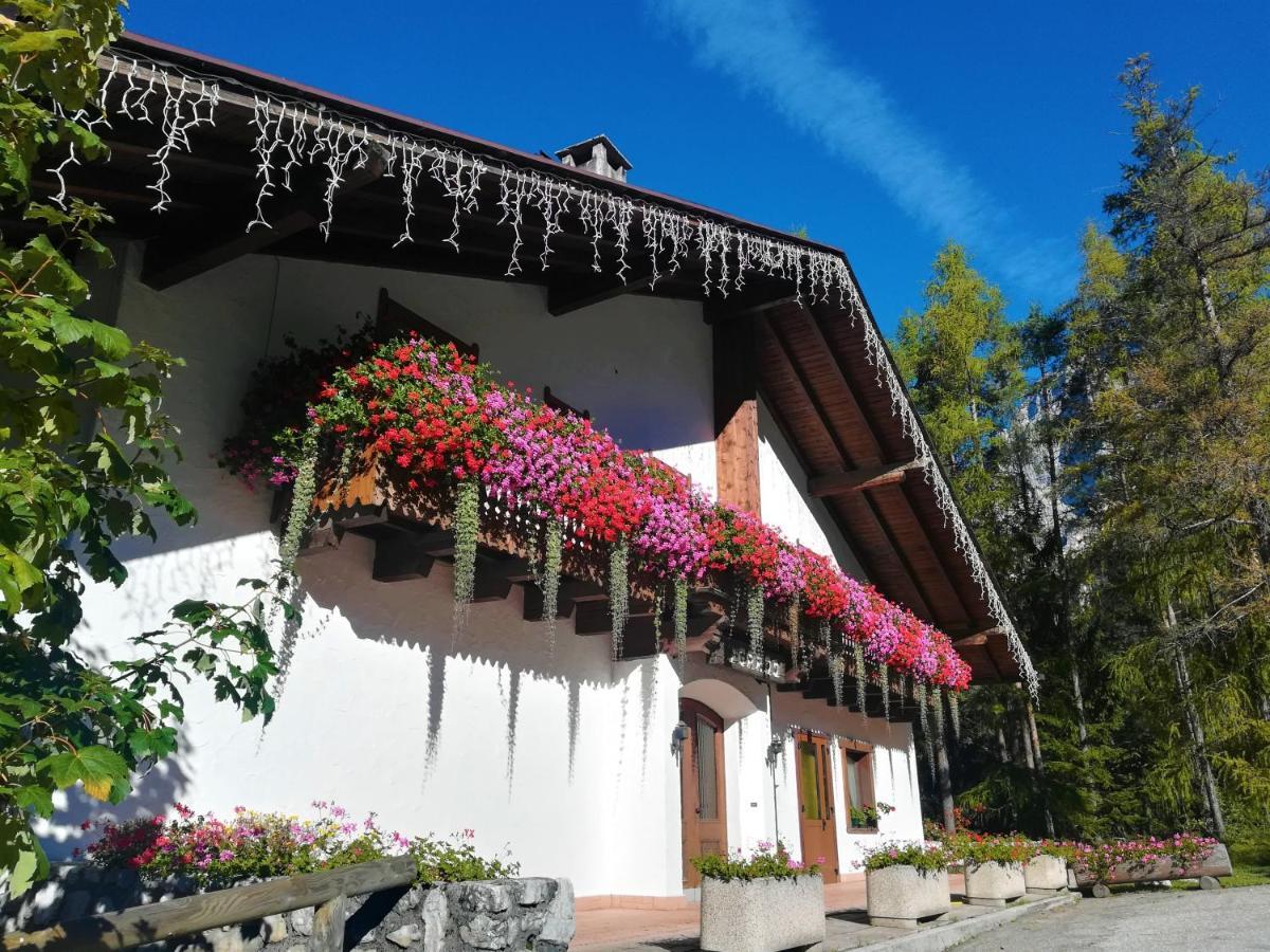 Hotel Il Cardo San Vito di Cadore Luaran gambar